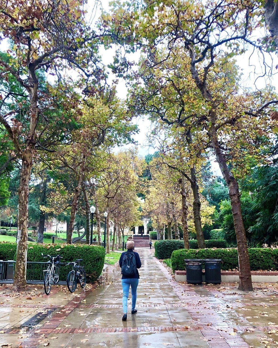 Student walking on campus after rain.